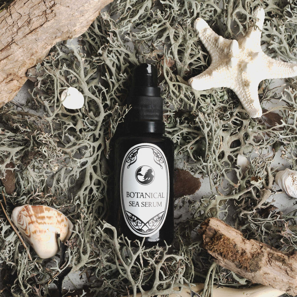 Dark purple 30ml bottle of Be Bohemian Botanical Sea Serum with pearlescent white label surrounded by seashells and branches laying on top of seaweed.